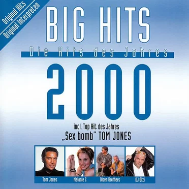 Big Hits 2000 by Various Artists - album cover