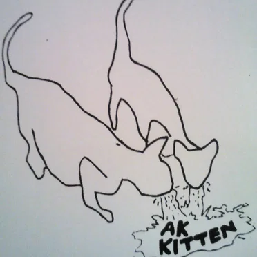 AK Kitten