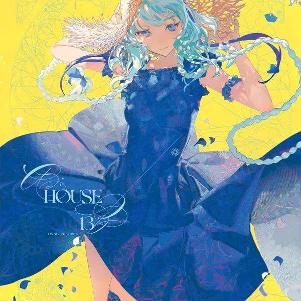 AD:HOUSE 13