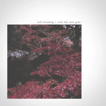 Cold Fall, Now Gone