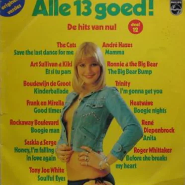Alle 13 goed! Deel 12 by Various Artists - album cover