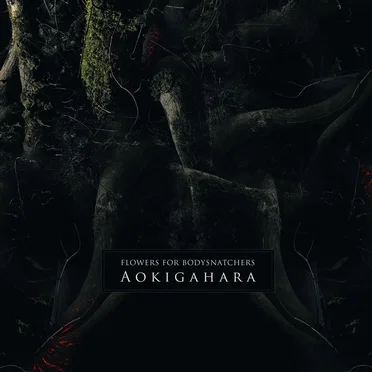Aokigahara