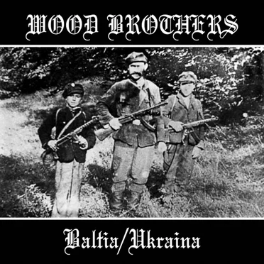Wood Brothers – Baltia / Ukraina by Various Artists - album cover