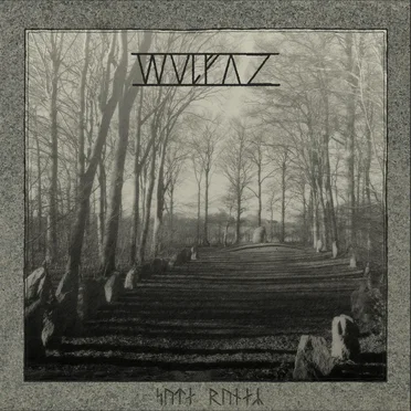 Sotes Runer by Wulfaz - album cover