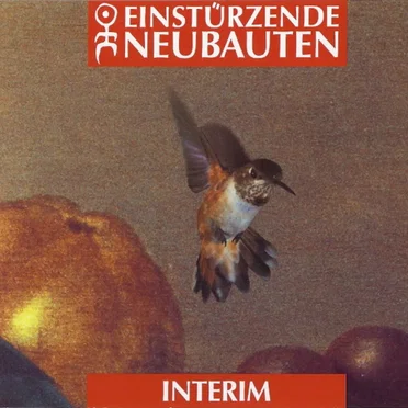 Interim