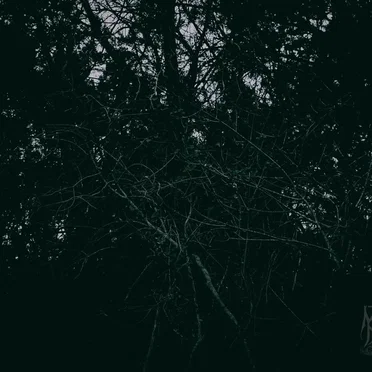 Hermetic Nightmare by Tulpa Twin - album cover
