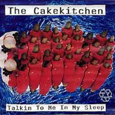 Talkin to Me in My Sleep