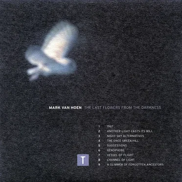 The Last Flowers From the Darkness