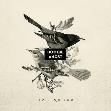 Boogie Angst Edition Two by Various Artists - album cover