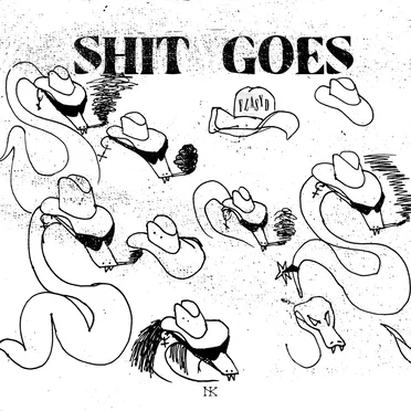 SHIT GOES by Flasyd - album cover