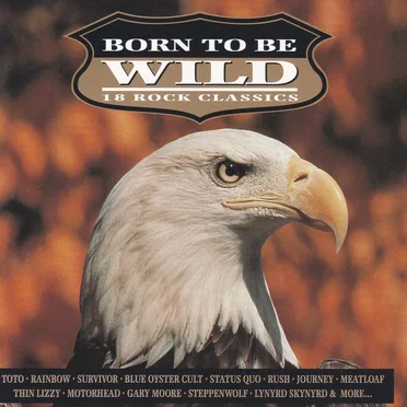 Born to Be Wild, Volume 1 by Various Artists - album cover
