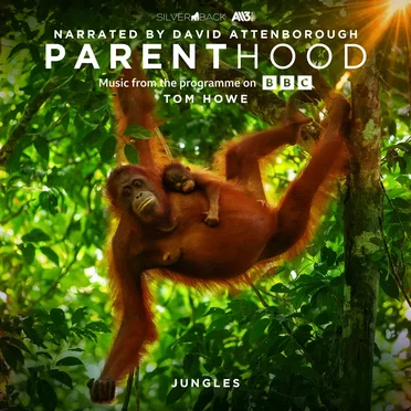 Parenthood: Jungles (Music From The Programme On BBC)