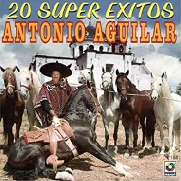 20 éxitos