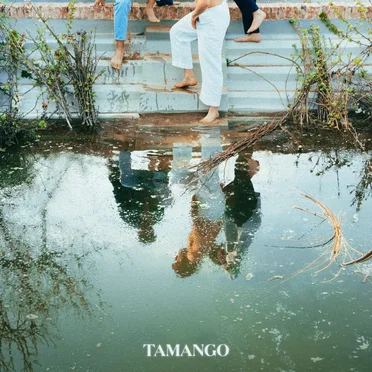 COME FOSSERO CAREZZE by Tamango - album cover