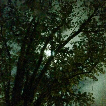 Light Night