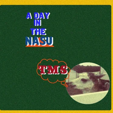 A Day In The ''NASU'' by Various Artists - album cover