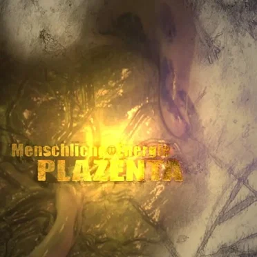 Plazenta by Menschliche Energie - album cover