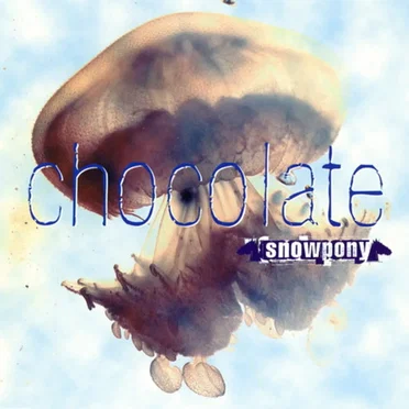 Chocolate In The Sun