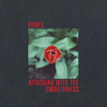 Attacking With the Smoothness by Kunfu - album cover