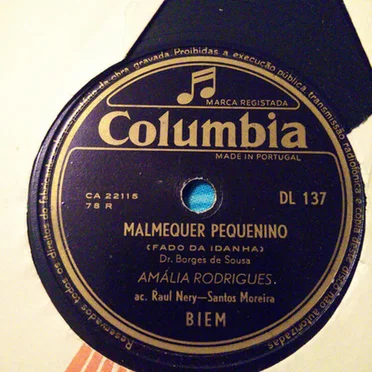 Malmequer pequenino / Grão de arroz