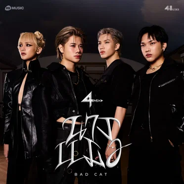 นางเเมว (BAD CAT)
