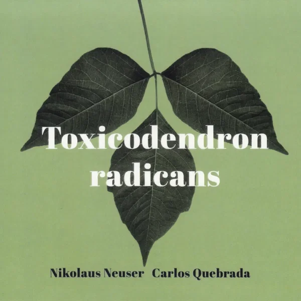 Toxicodendron Radicans