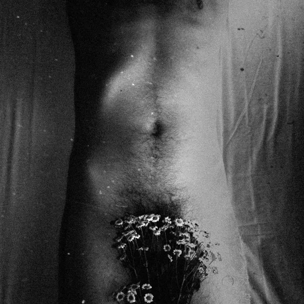 Feuillemort