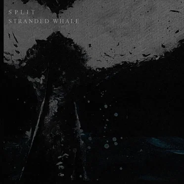 Stranded Whale