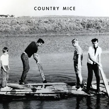 Twister by Country Mice - album cover
