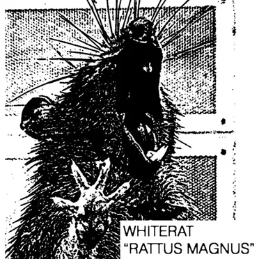 Rattus Magnus