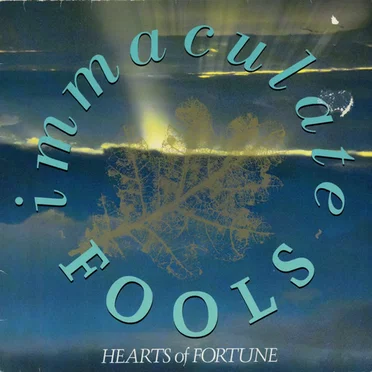 Immaculate Fools