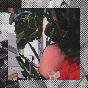 Reversed Normalization