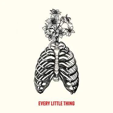 Every Little Thing