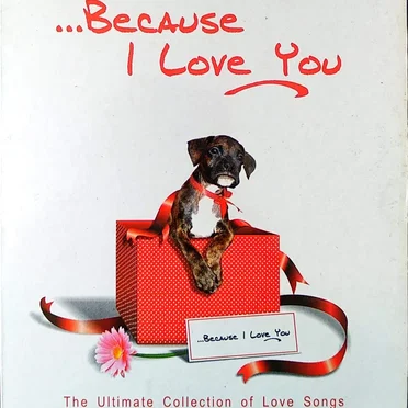 ... Because I Love You by Various Artists - album cover