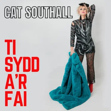 Ti Sydd a’r Fai (radio edit)