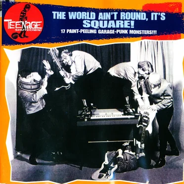 Teenage Shutdown! The World Ain't Round, It's Square! by Various Artists - album cover
