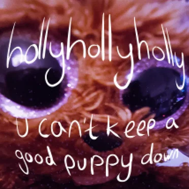 U Can't Keep a Good Puppy Down by hollyhollyholly - album cover