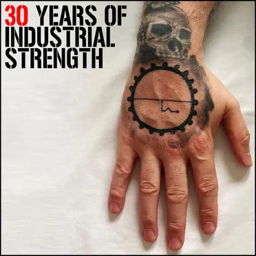 30 Years of Industrial Strength by Various Artists - album cover