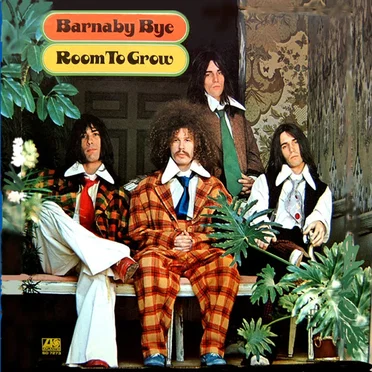 Room to Grow by Barnaby Bye - album cover