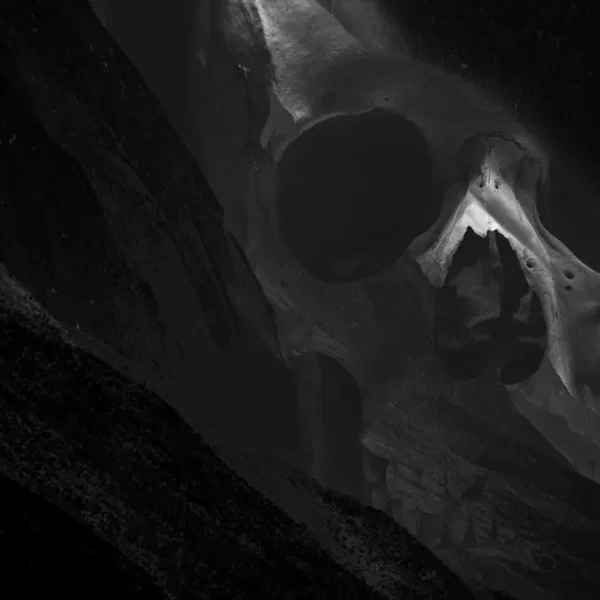 A Wake for the Sleep