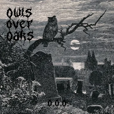 Owls Over Oaks