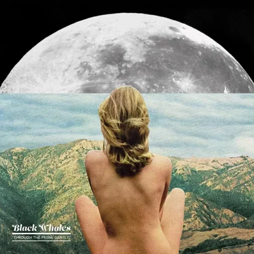 Through the Prism, Gently by Black Whales - album cover