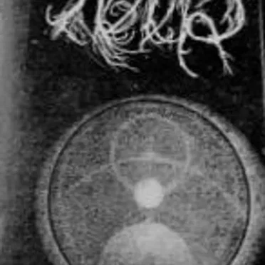 Demo I