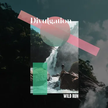 Wild Run