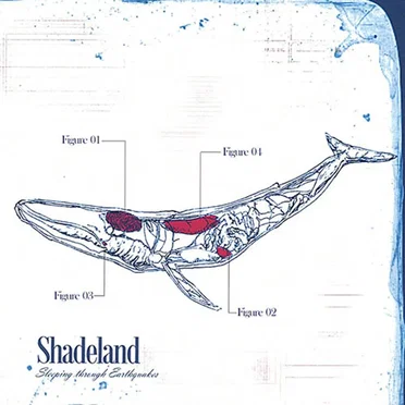 Sleeping Through Earthquakes by Shadeland - album cover