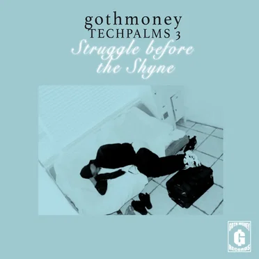 Tech Palms 3 : Struggle Before the Shyne by Various Artists - album cover