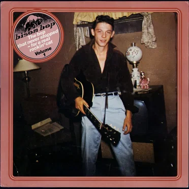 Bison Bop: The Bop That Never Stopped – For a Real Rockin’ Cat, Volume 1 by Various Artists - album cover