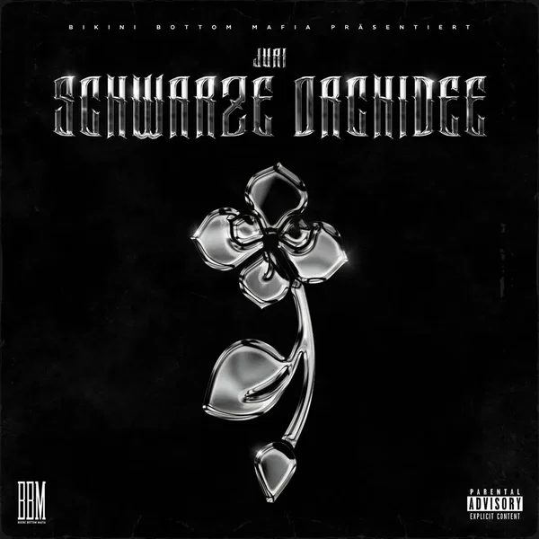Schwarze Orchidee