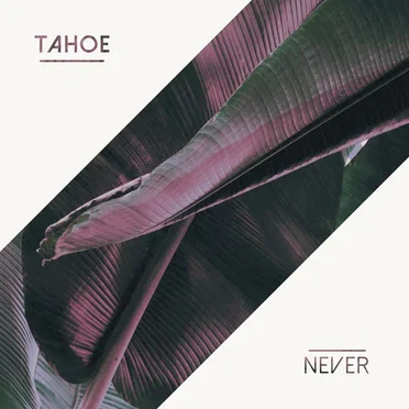 Never