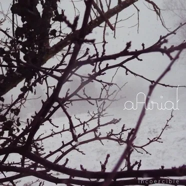 Incoercible by aAirial - album cover
